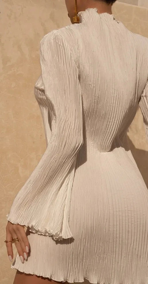 Ennimo Long Sleeve Mini Dress